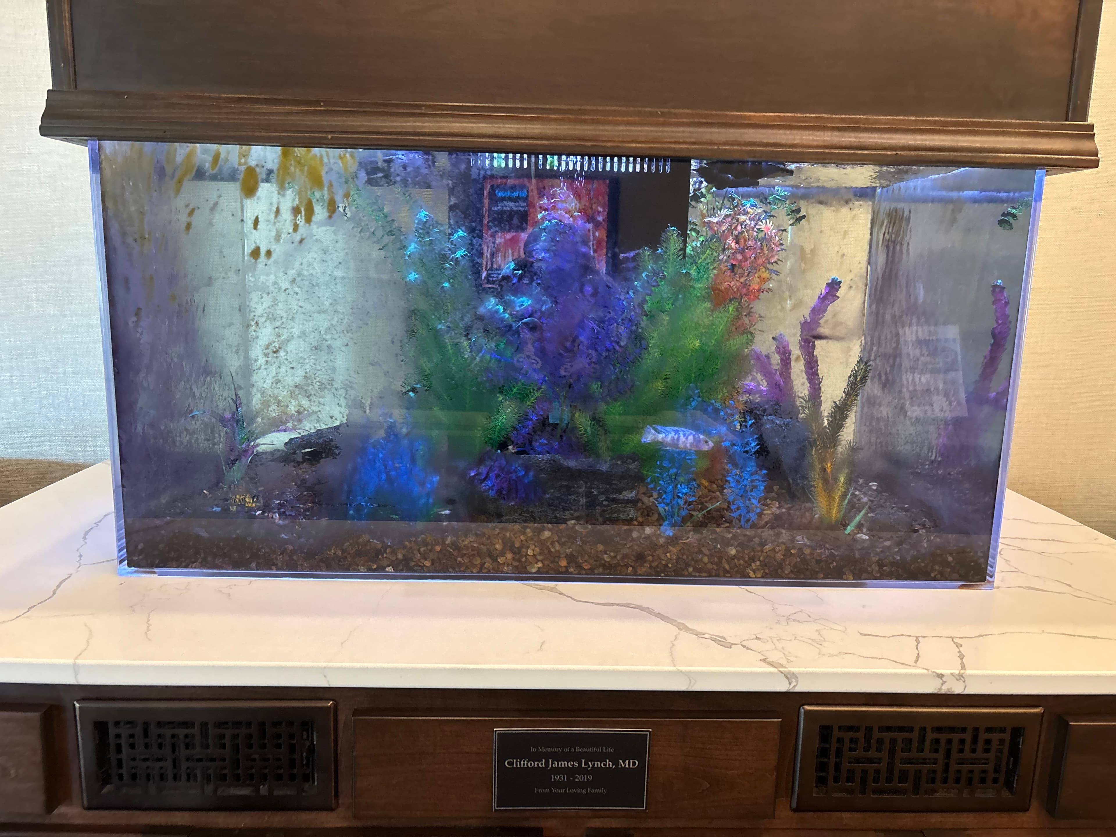 Aquarium with blue and green plants on a white marble counter above a memorial plaque.