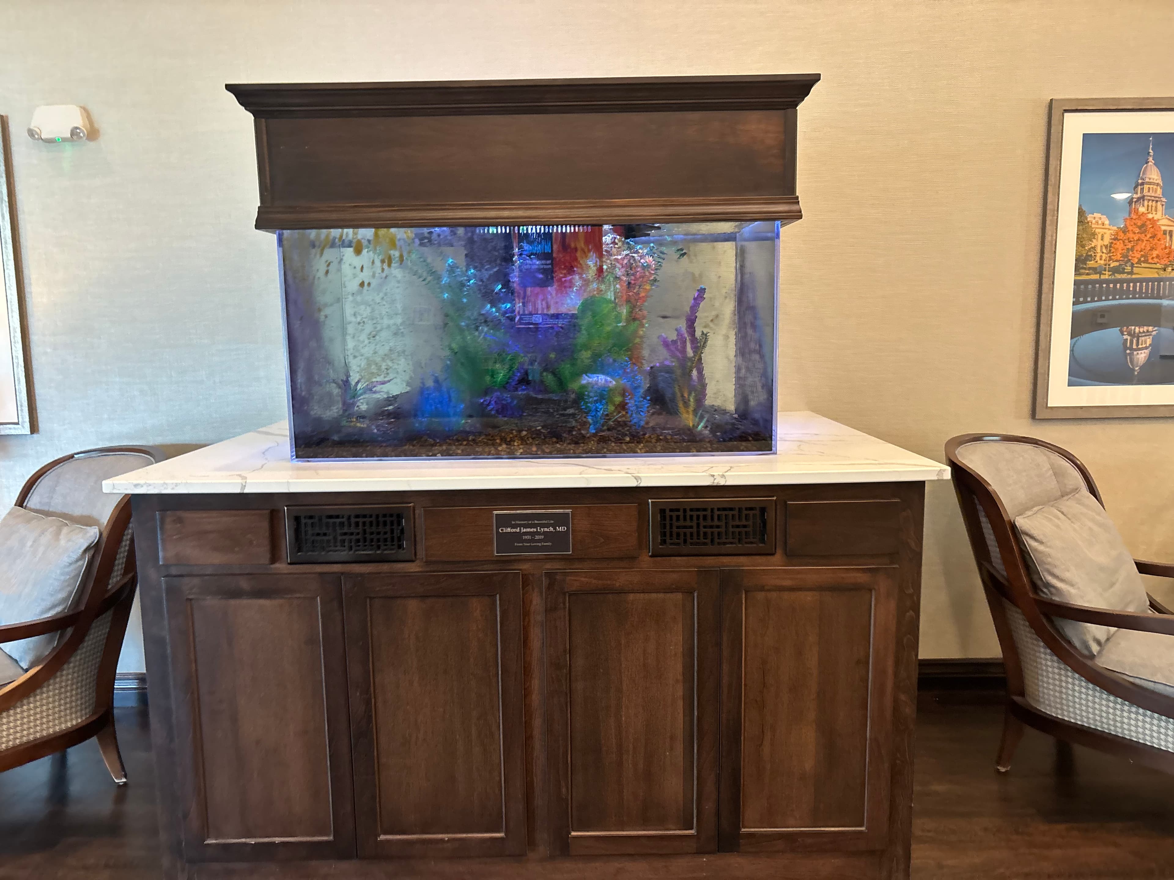 Large aquarium with colorful plants on a dark wood cabinet between two grey armchairs.